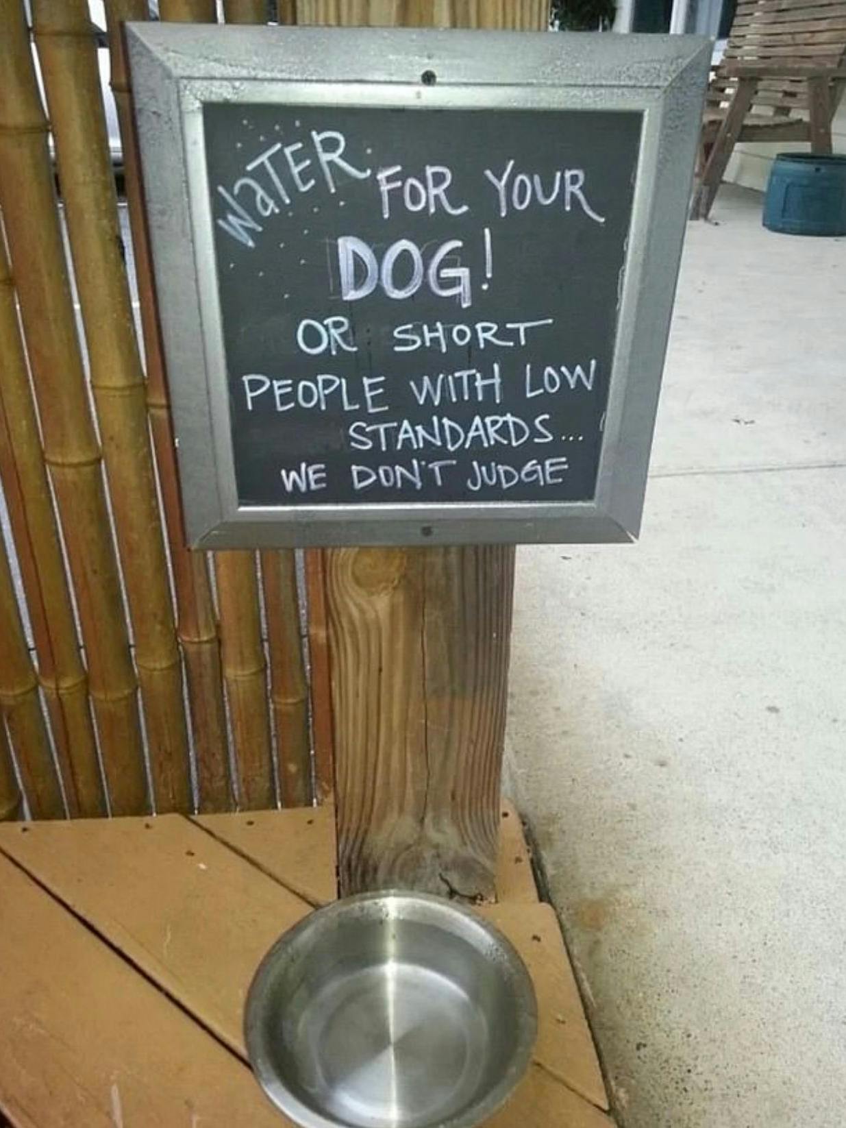 „Wasser für deinen Hund…oder für kleine Menschen mit geringen Standards – wir werten nicht!“