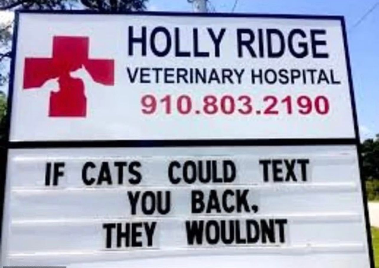 Image - Die witzigsten Sprüche auf Schildern: „Wenn Katzen dir zurückschreiben könnten – würden sie es nicht tun“