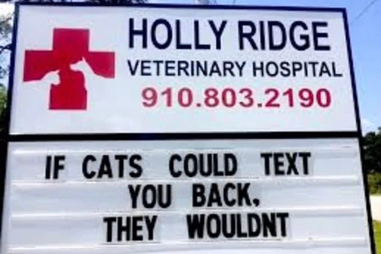 „Wenn Katzen dir zurückschreiben könnten – würden sie es nicht tun“. Mit diesem witzigen Spruch verschafft ein Veterinärkrankenhaus in North Carolina Herrchen und Frauchen von Kater und Katzen einem Reality-Check.