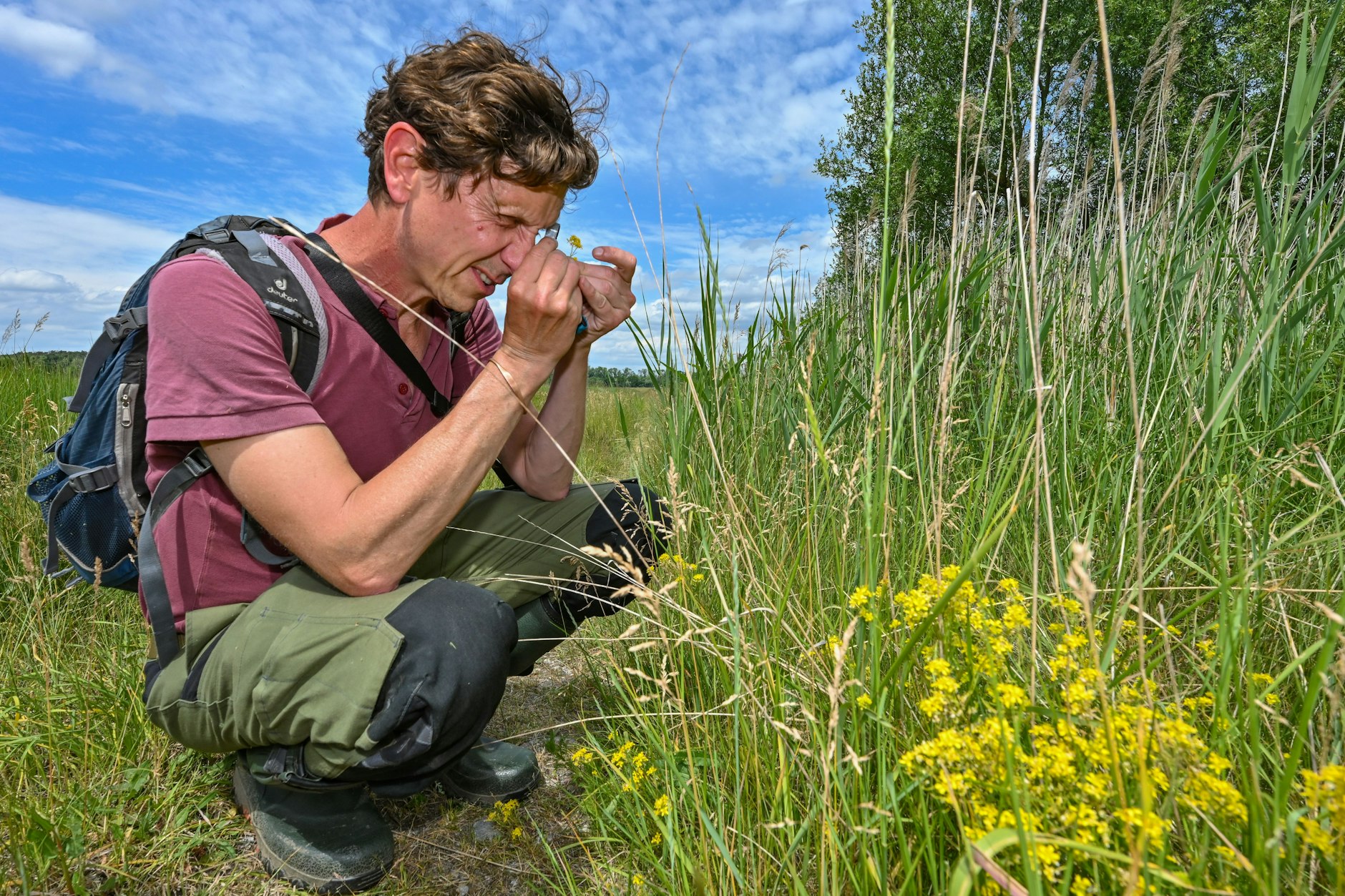 Biologe Dirk Wesuls bei der Inventur: Er untersucht Pflanzen im Nationalpark.