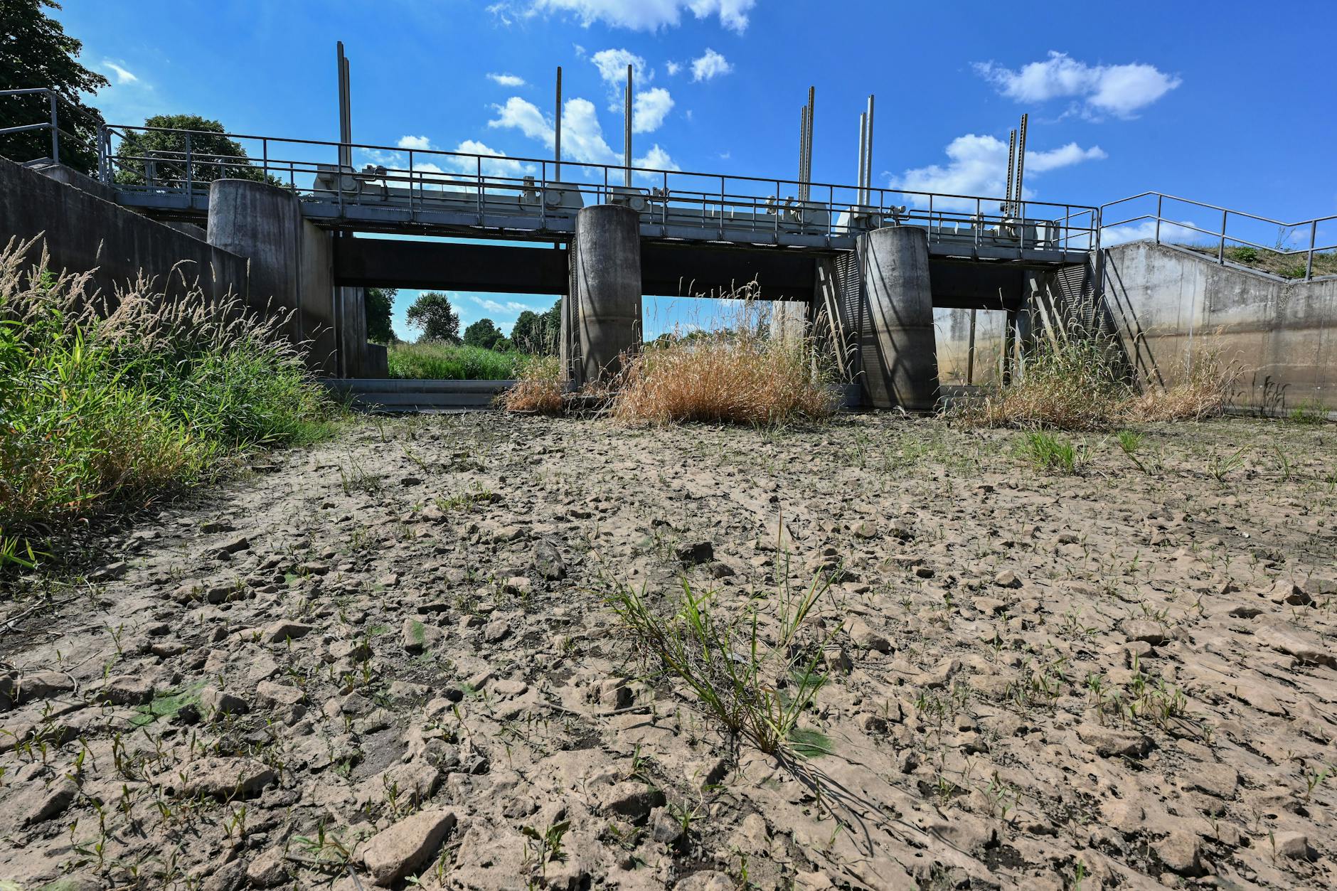 Senftenberg: Ausgetrocknet ist ein Teilabschnitt des Flusses Schwarze Elster in Südbrandenburg.