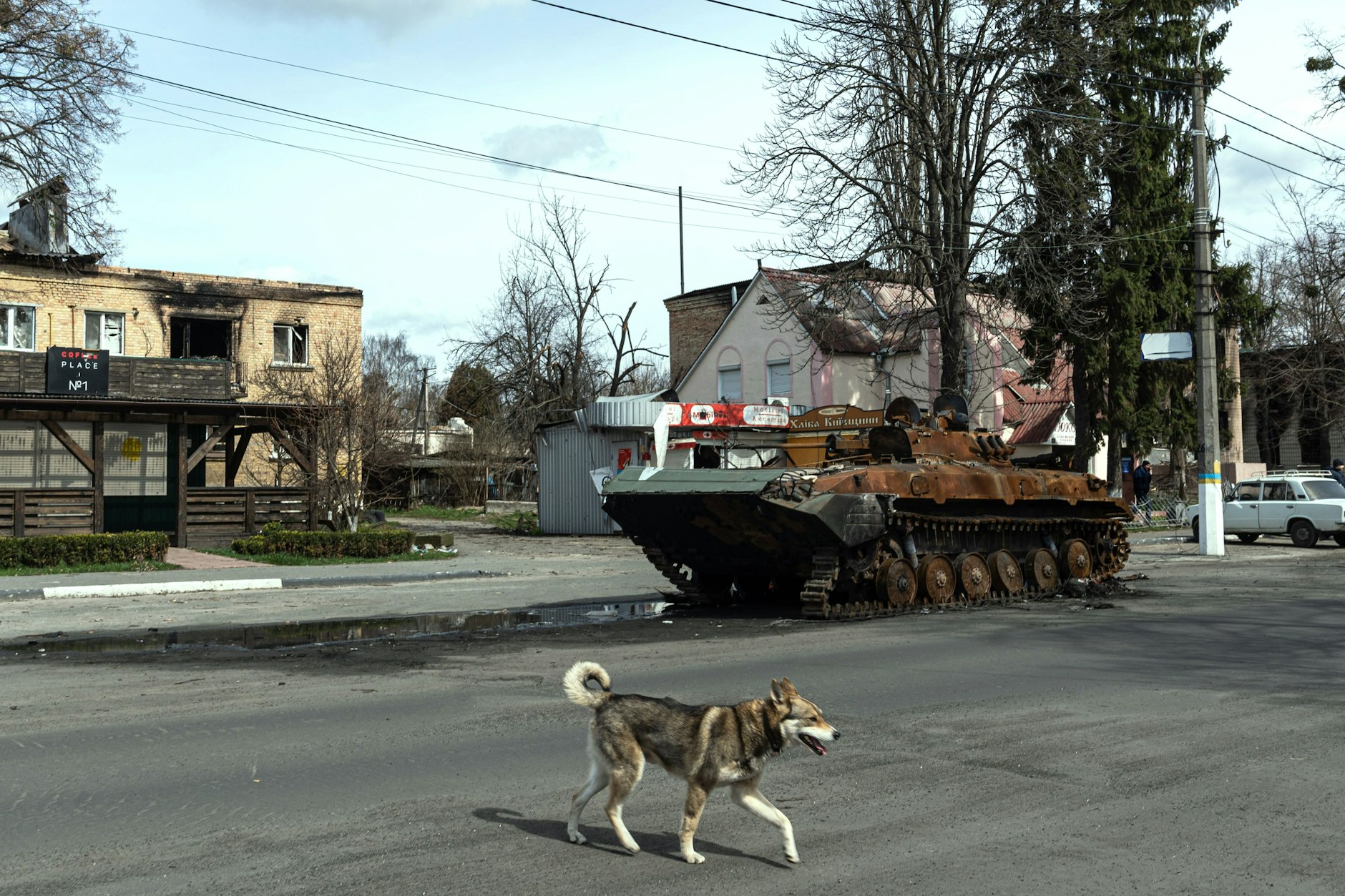 Zerstörter russischer Panzer in Borodjanka bei Kiew: 70.000 bis 80.000 russische Soldaten sollen in der Ukraine verletzt oder getötet worden sein. Auch rund 4000 gepanzerte Fahrzeuge sollen die Russen in der Ukraine bereits eingebüßt haben.