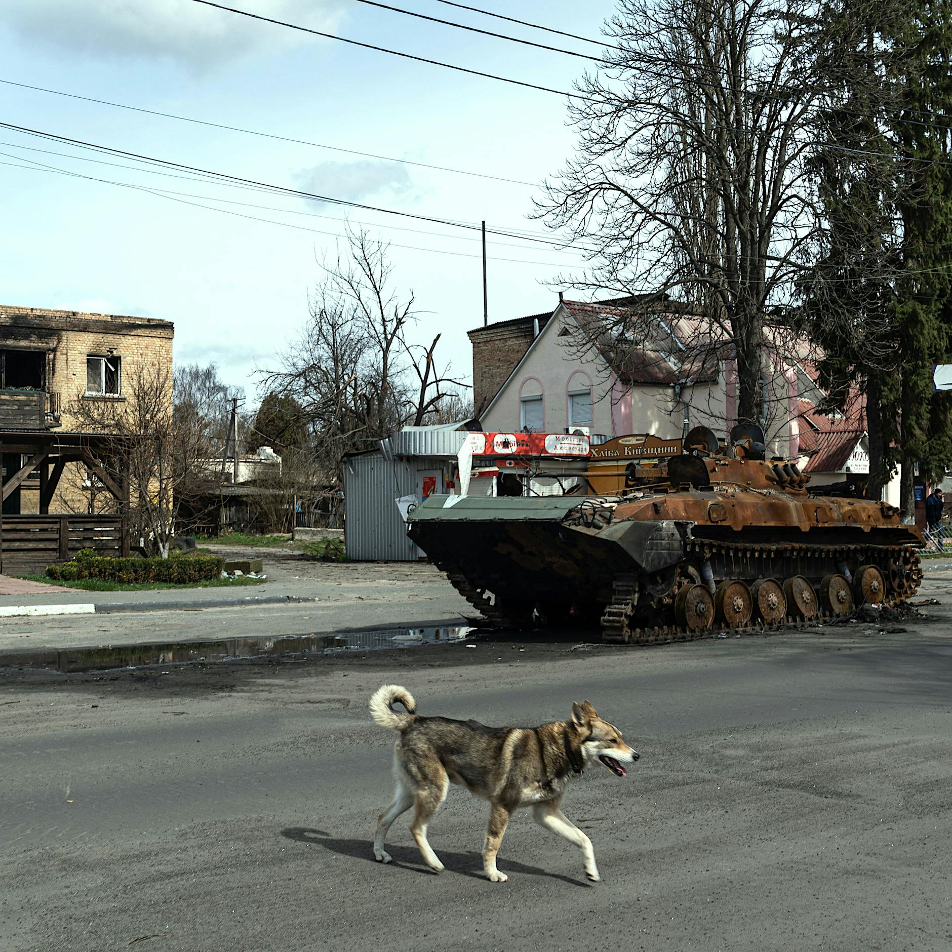 USA: Russland hat bis zu 80.000 Soldaten in der Ukraine verloren