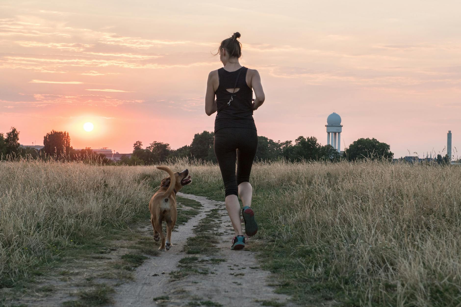 Nichts als Hund und Horizont: Selbst auf dem Tempelhofer Feld kann man sich nun einsam fühlen.