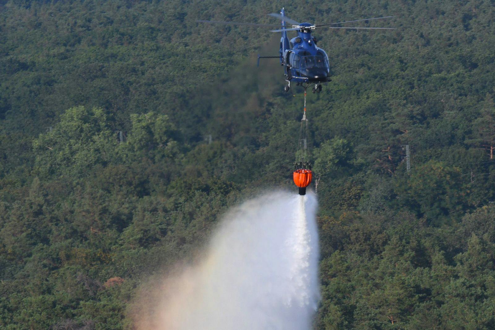 Die Löschhubschrauber der Bundespolizei werfen Wasser über dem Grunewald ab.