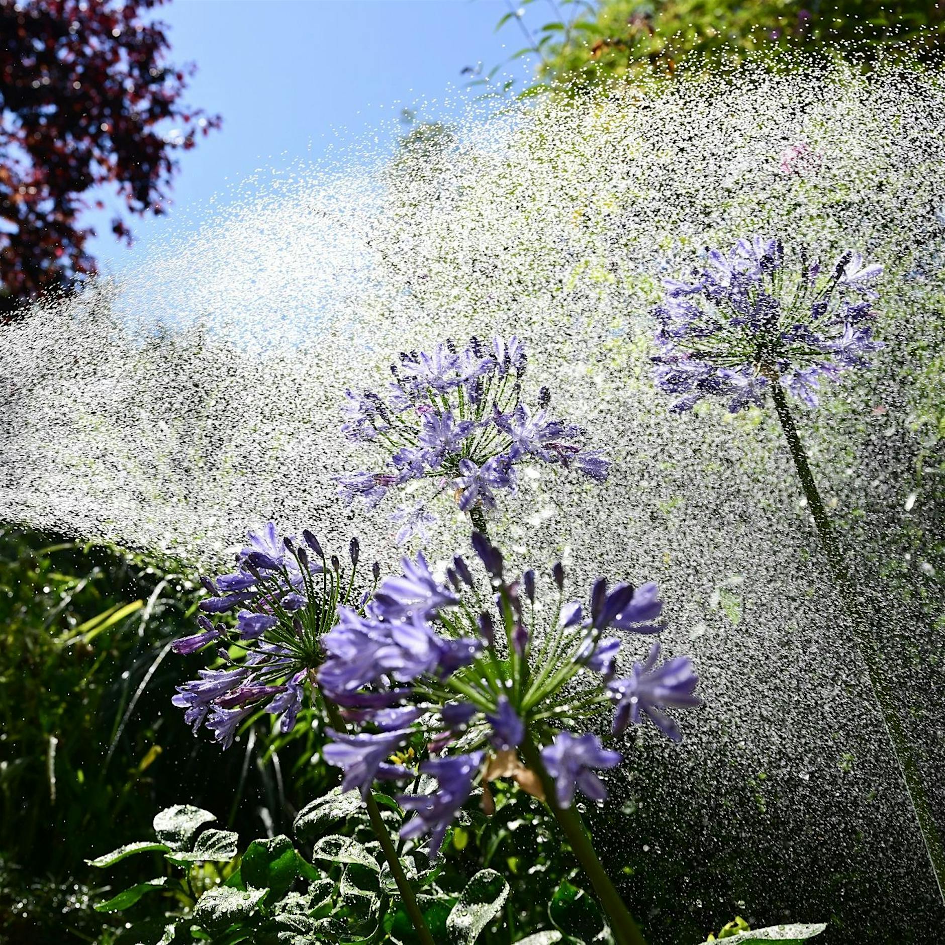 Es wird wieder wärmer: Kein Regen erwartet