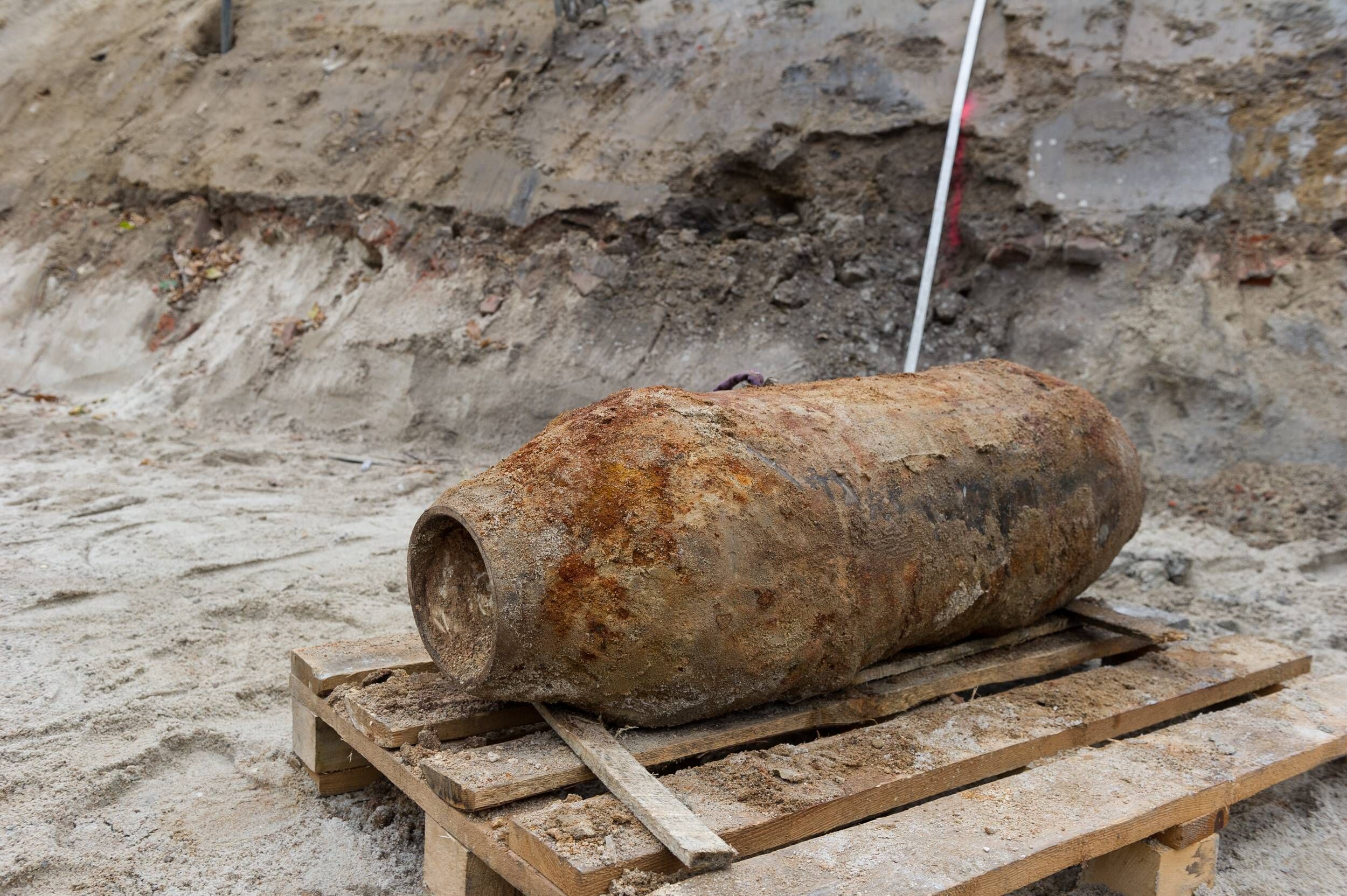 Tierheim in Gefahr! Am Donnerstag müssen in Potsdam drei Fliegerbomben entschärft werden – ob die Tiere evakuiert werden, steht noch nicht fest
