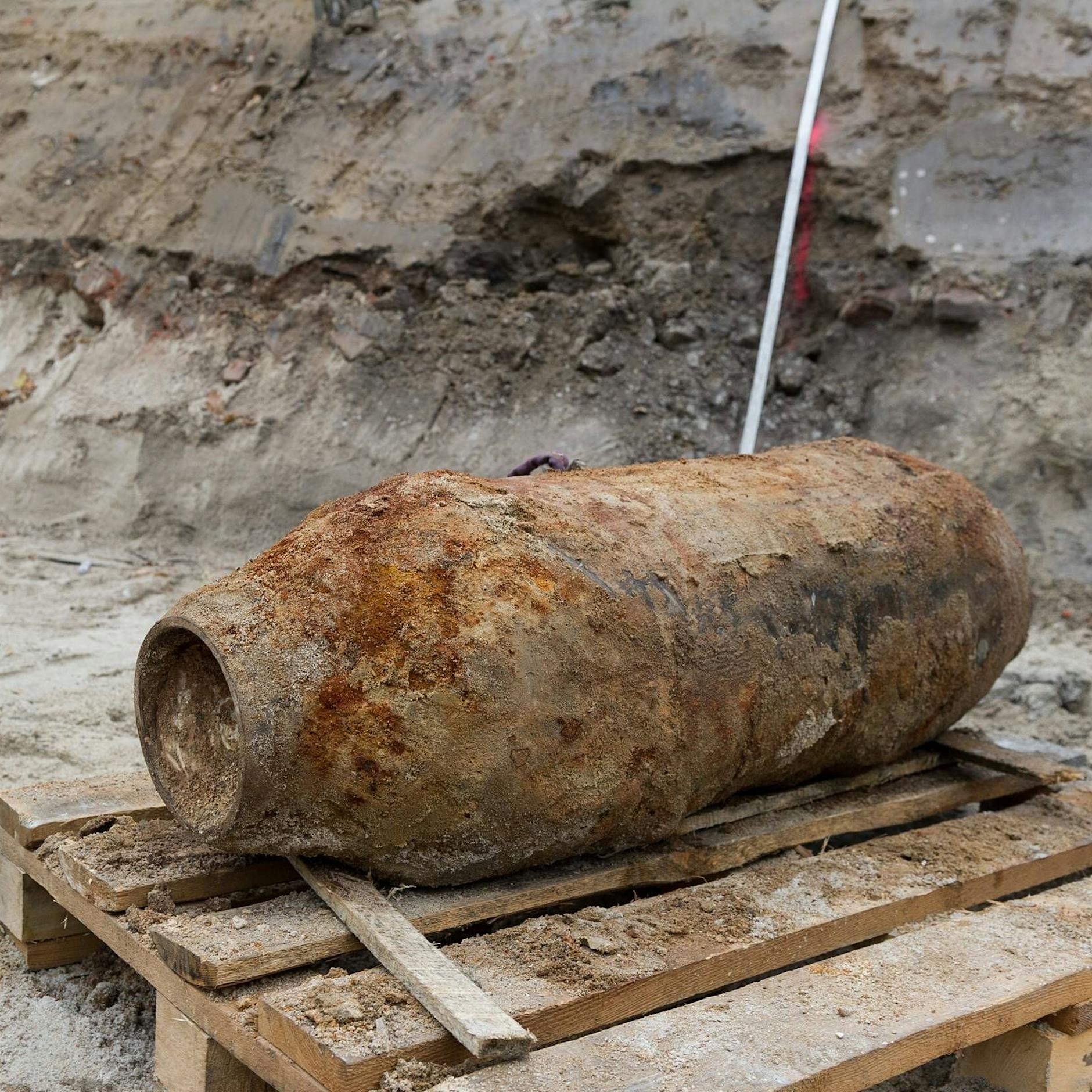 Tierheim in Gefahr! Am Donnerstag müssen in Potsdam drei Fliegerbomben entschärft werden – ob die Tiere evakuiert werden, steht noch nicht fest