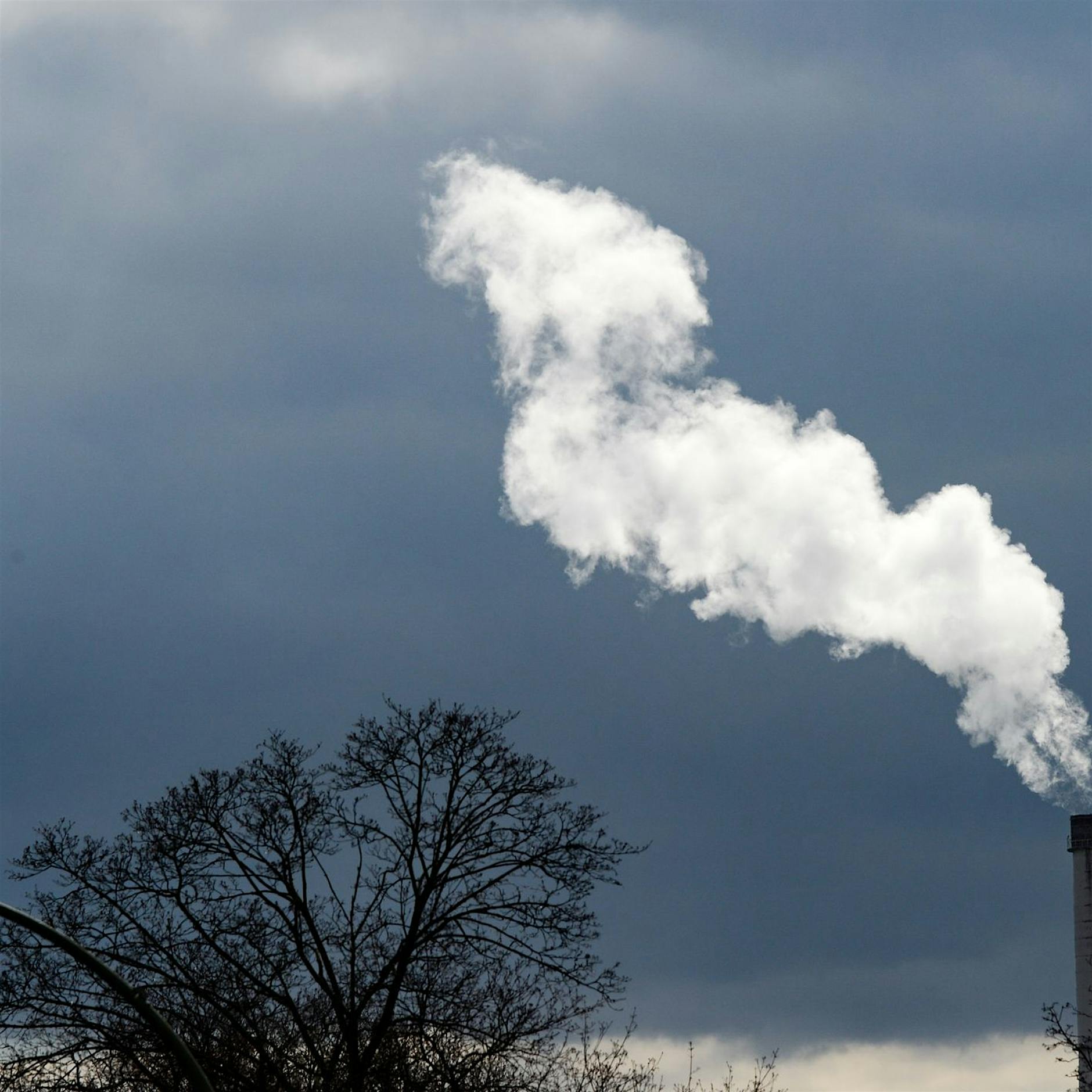 Mehrheit für Umweltschutz auch zu Lasten des Wachstums