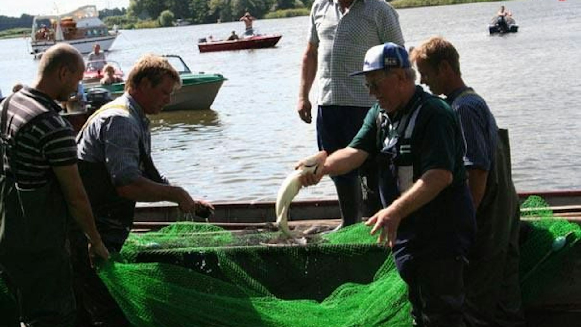 Zum Ketziner Fischerfest gehört auch der sogenannte Fischzug, bei dem der gefangene Fisch versteigert wird.