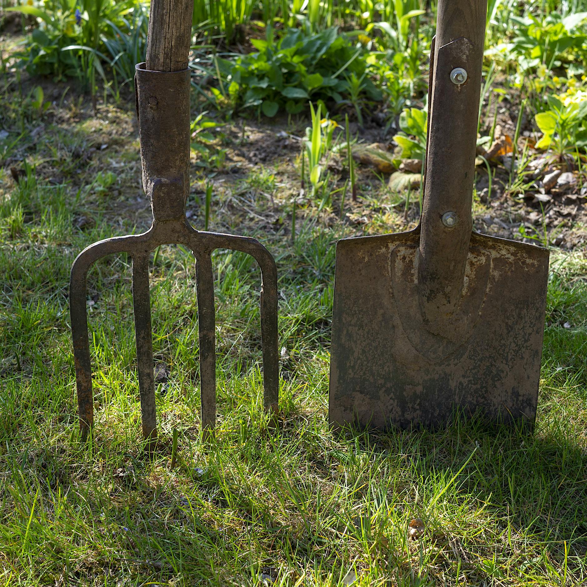 Von wegen Visitenkarte: Mein Vorgarten ist eine Katastrophe