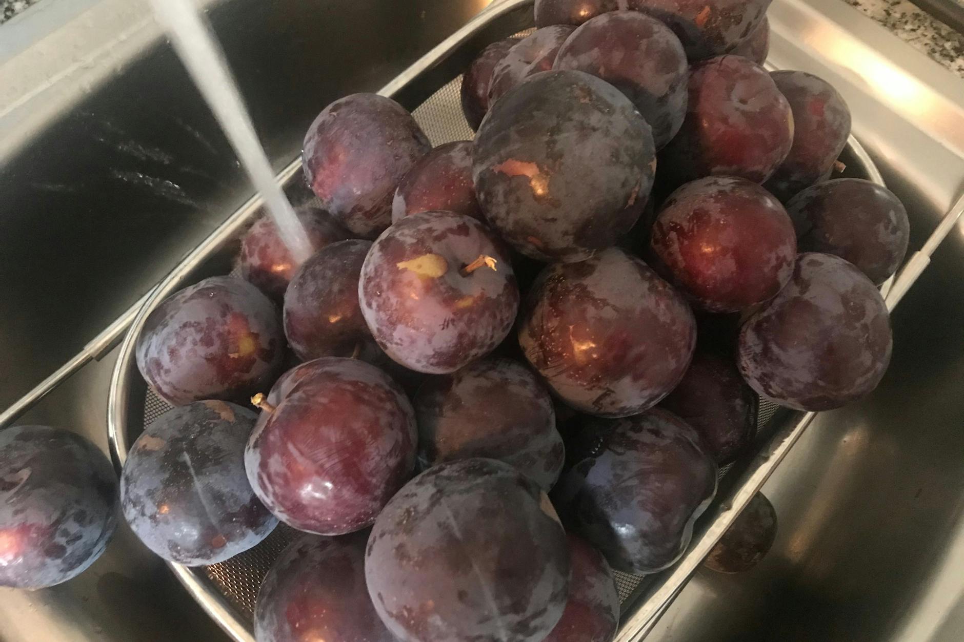 Zwetschgen schön waschen …