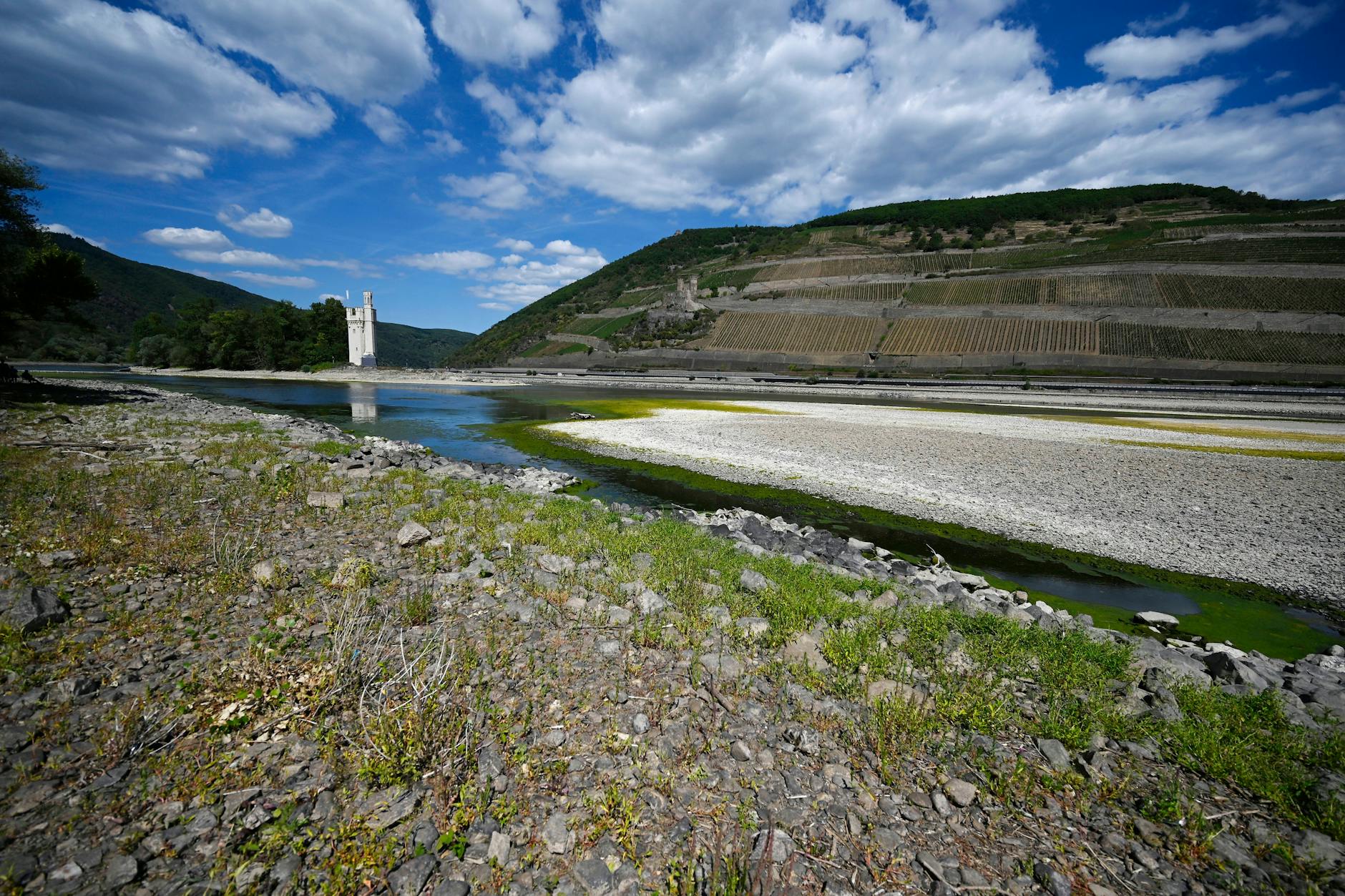 Niedrigwasser im Rhein bei Bingen.