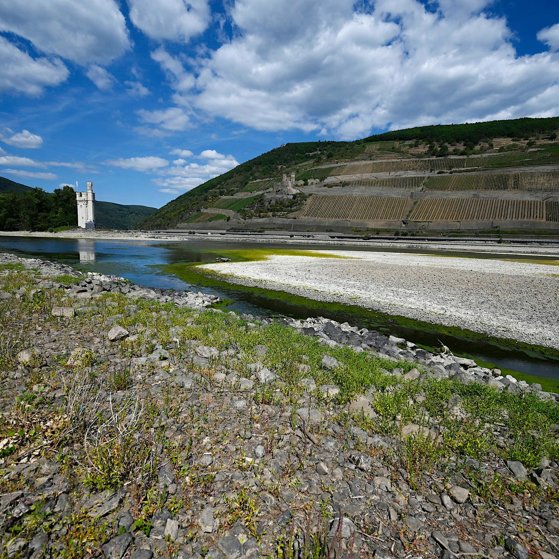 Die Dürre am Rhein treibt einen Riss in die deutsche Seelenlandschaft