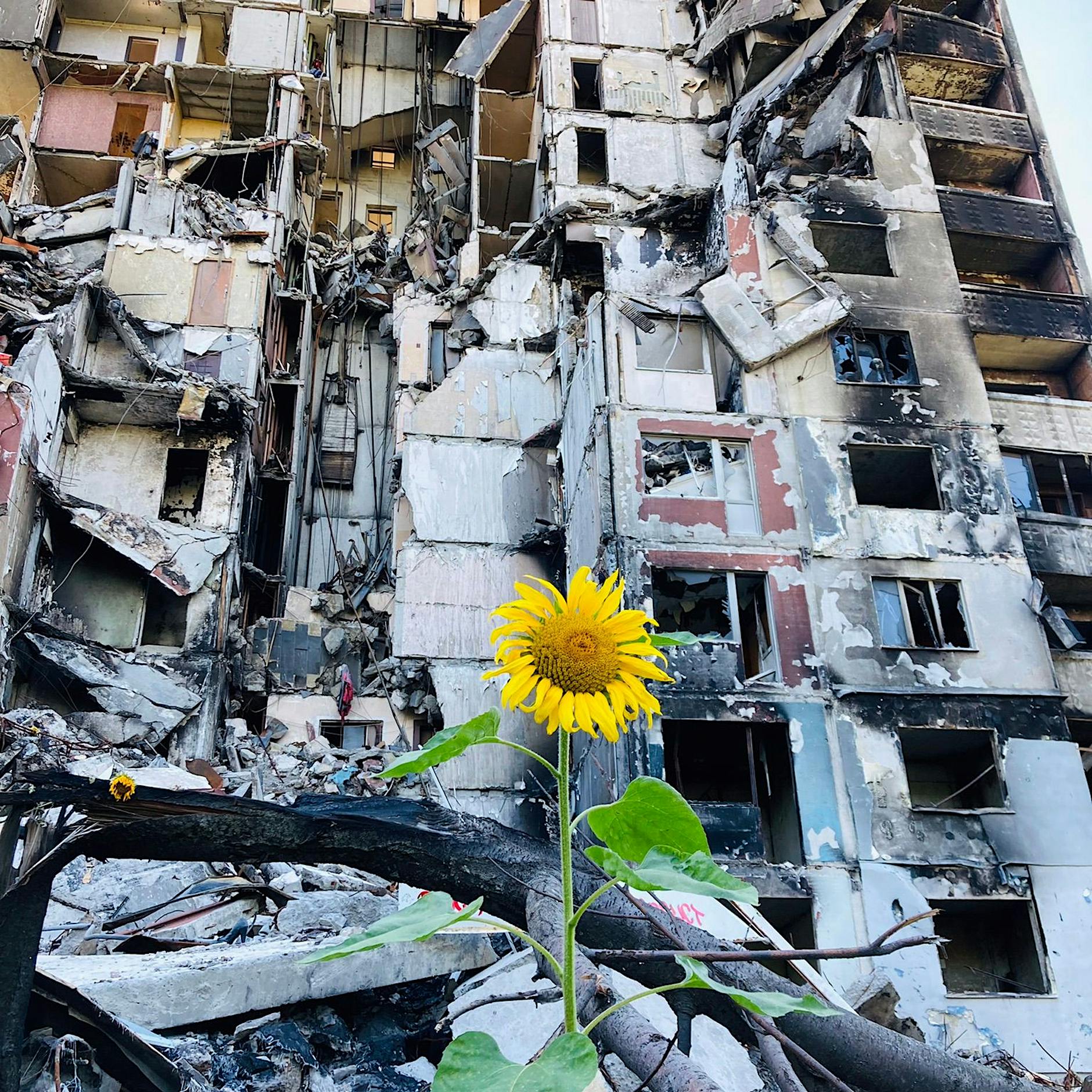 Reise in die Ukraine: Respekt vor Deutschland mischt sich mit Unverständnis