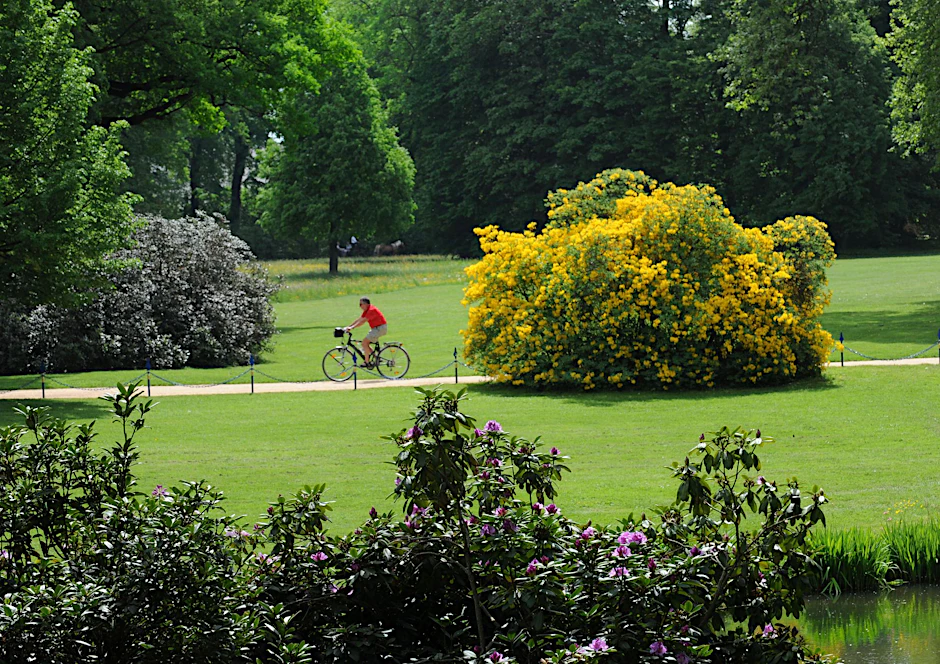 ARCHIV - Ein Fahrradfahrer fährt durch den Pückler-Park in Bad Muskau.  dpa/Archivbild