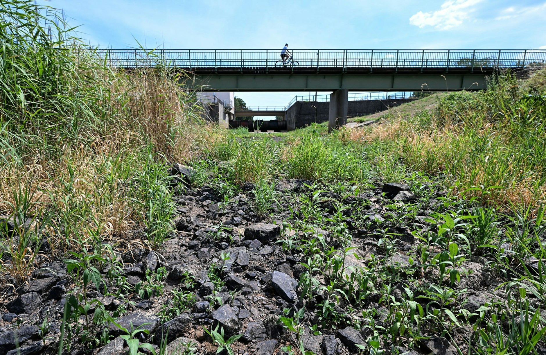 ARCHIV - Hitze in Deutschland - das ausgetrocknete Flussbett der Schwarzen Elster in Brandenburg.  