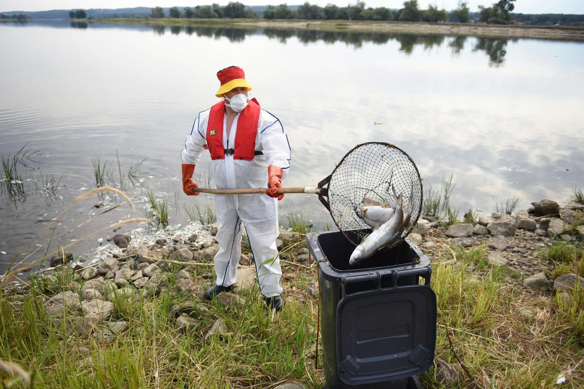 Criewen an der Oder in Nordbrandenburg: Das Fischsterben hat Deutschland längst erreicht.