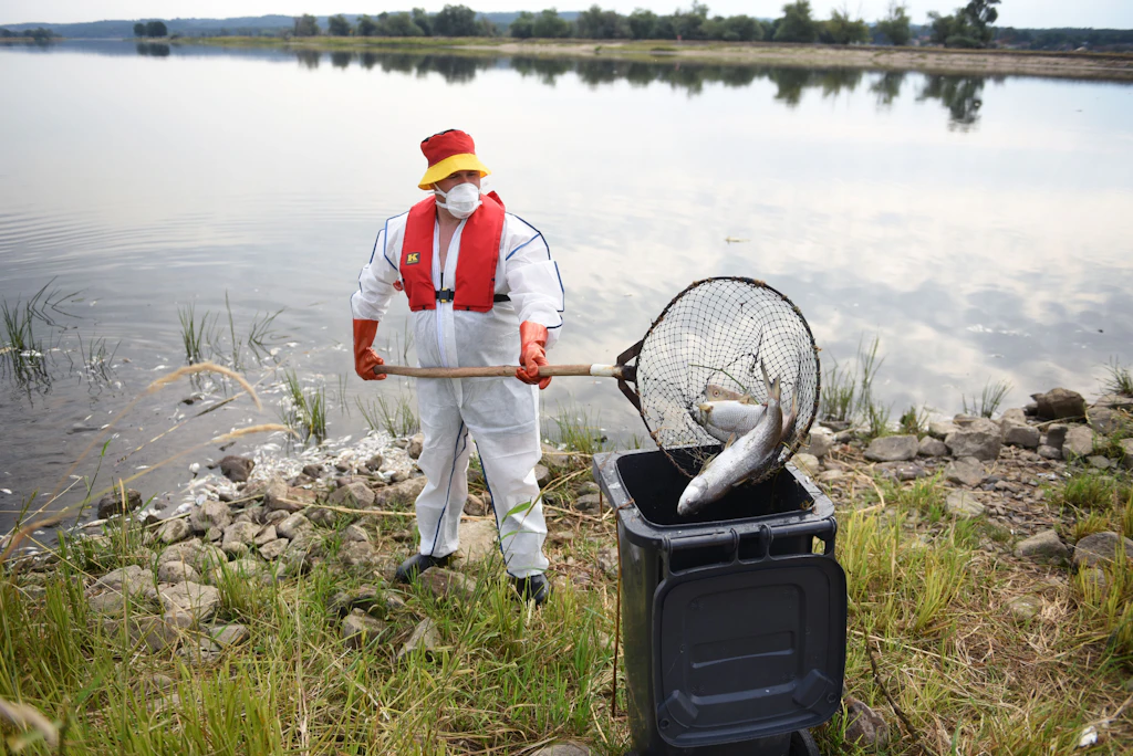 Fische und Fernsehen – die beiden aktuellen Skandale haben viel gemeinsam