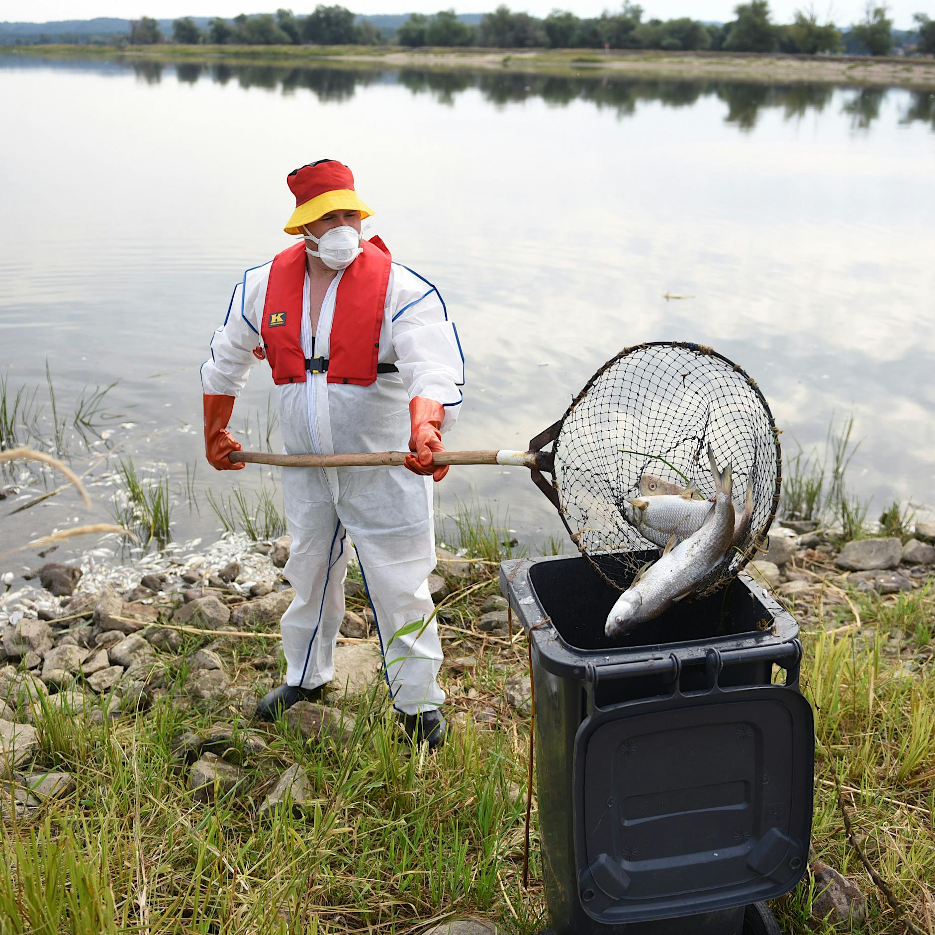 Fische und Fernsehen – die beiden aktuellen Skandale haben viel gemeinsam