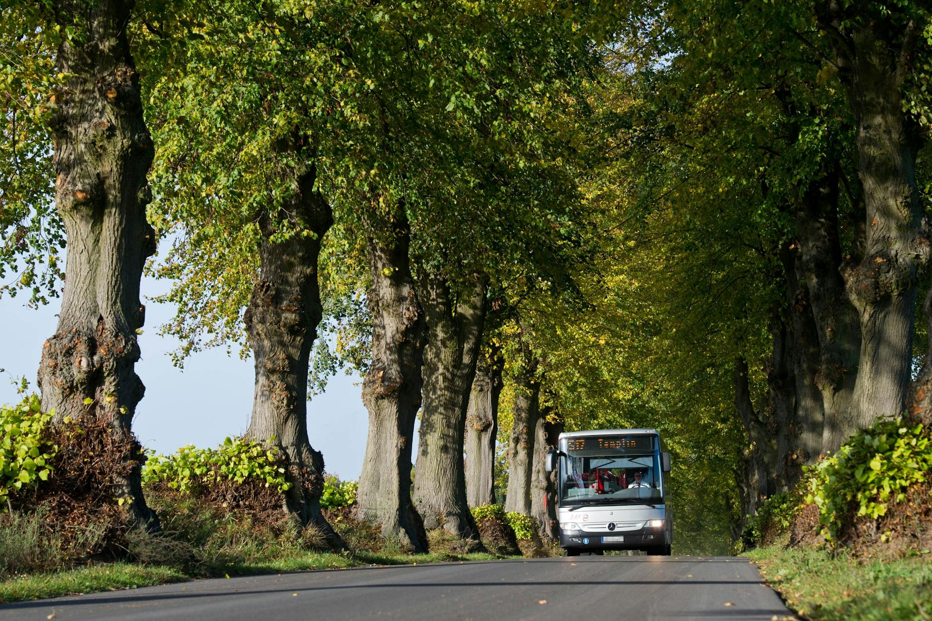 Ein Bus der Uckermärkischen Verkehrsgesellschaft unterwegs zwischen Annenwalde und Densow bei Templin. Auf dem Land hielt sich der Fahrgastzuwachs durch das 9-Euro-Ticket in Grenzen. 