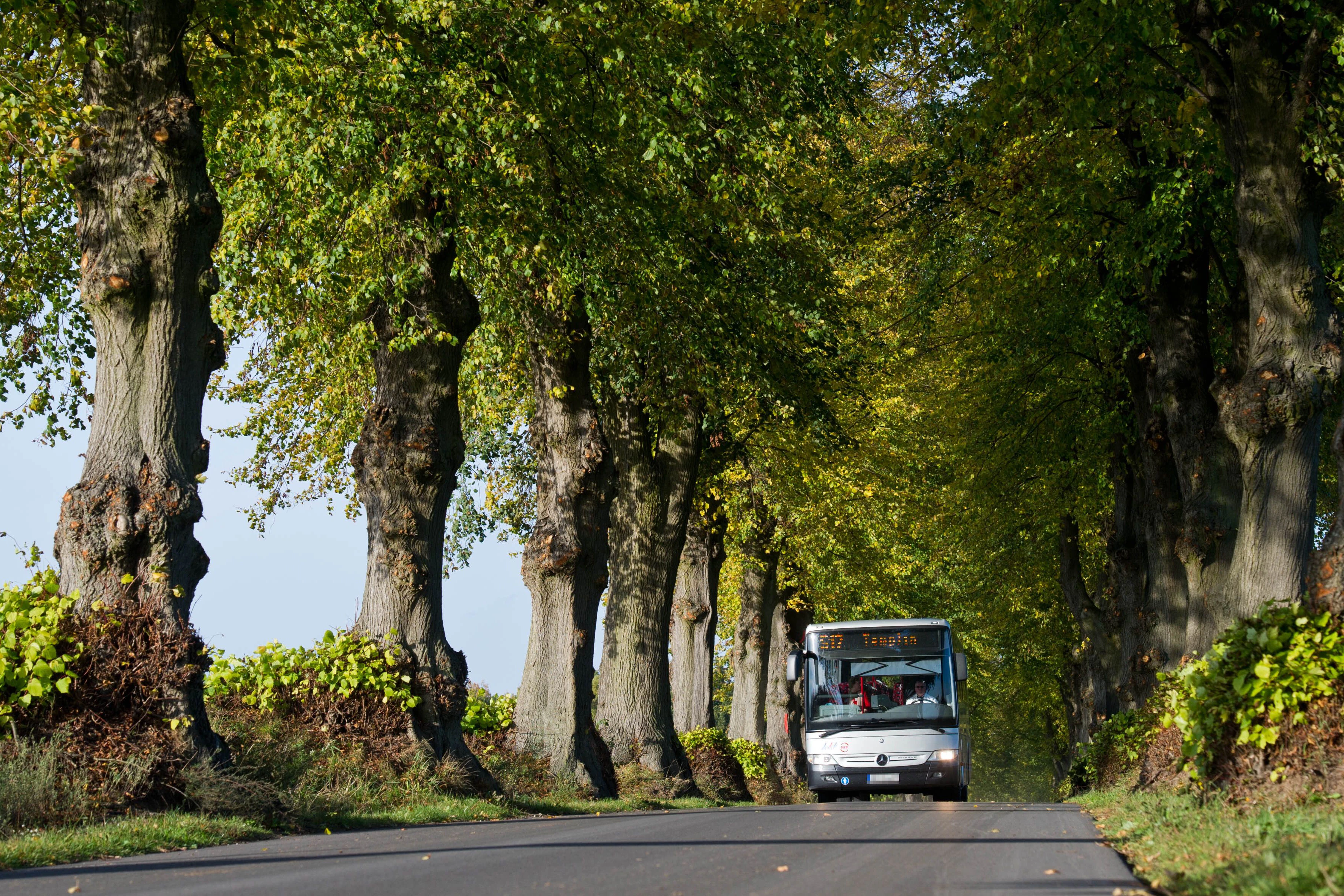 Ein Bus der Uckermärkischen Verkehrsgesellschaft unterwegs zwischen Annenwalde und Densow bei Templin. Auf dem Land hielt sich der Fahrgastzuwachs durch das 9-Euro-Ticket in Grenzen.&nbsp;