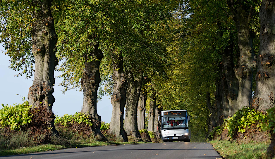 Ein Bus der Uckermärkischen Verkehrsgesellschaft unterwegs zwischen Annenwalde und Densow.&nbsp;
