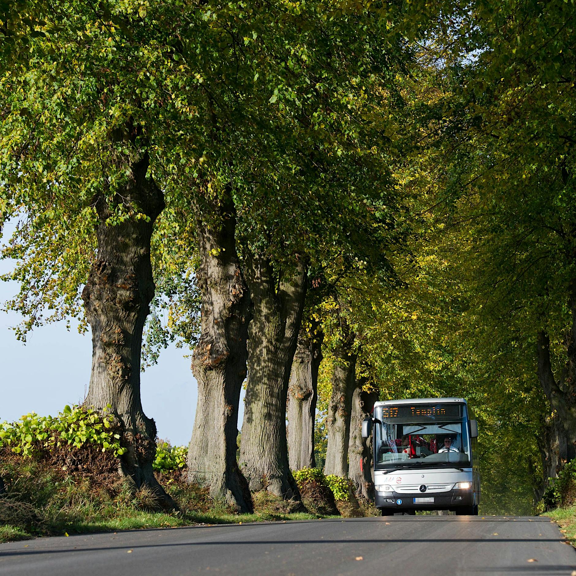 Brandenburger Verkehrsbetriebe schlagen Alarm: „Wer bezahlt die Fahrpreisbremse?“