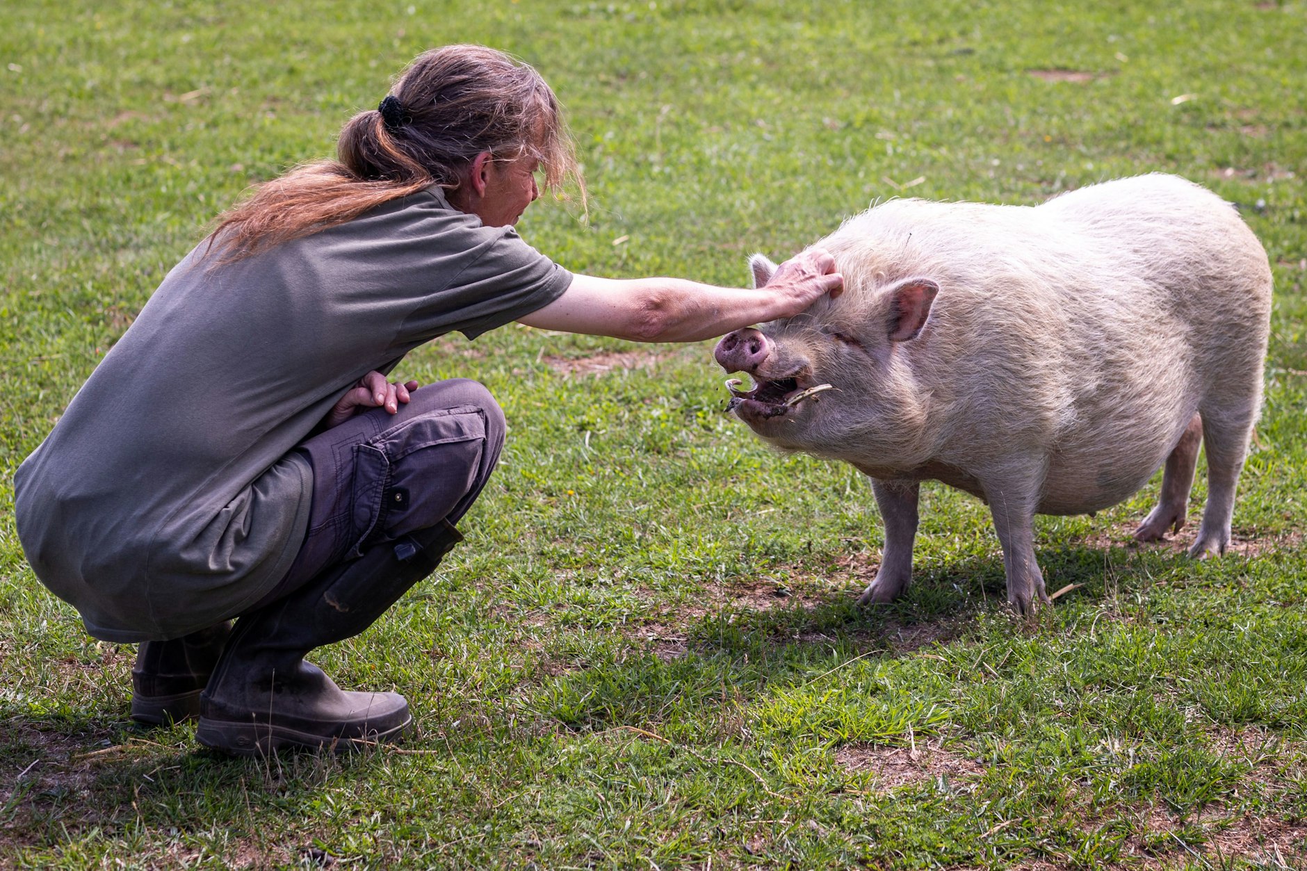 Das gerettete Mini-Schwein Lilli mit „Land der Tiere“-Gründerin Tanja Günter.