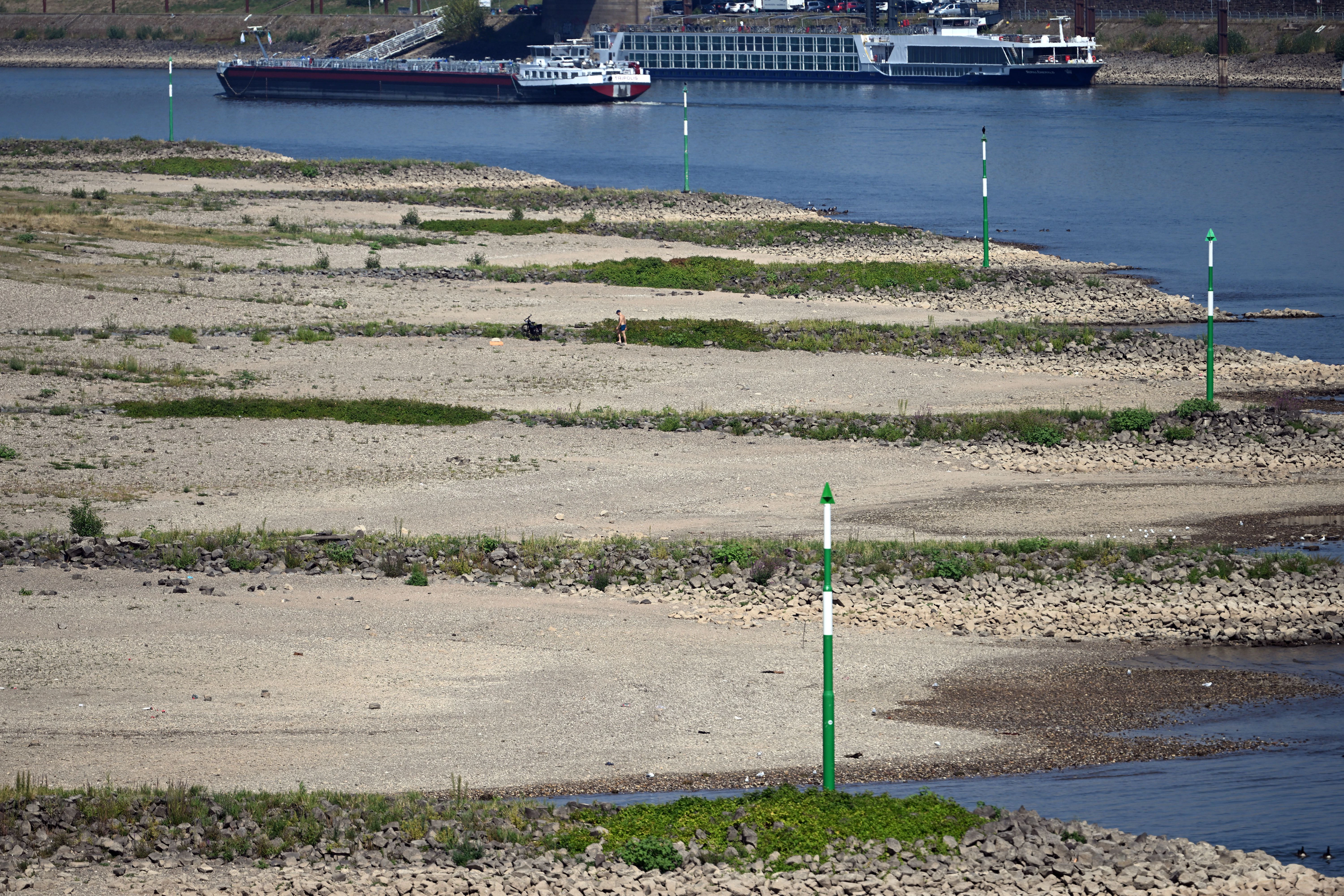 Düsseldorf: Ein Frachtschiff fährt auf dem Rhein an trockengefallenden Buhnen vorbei.