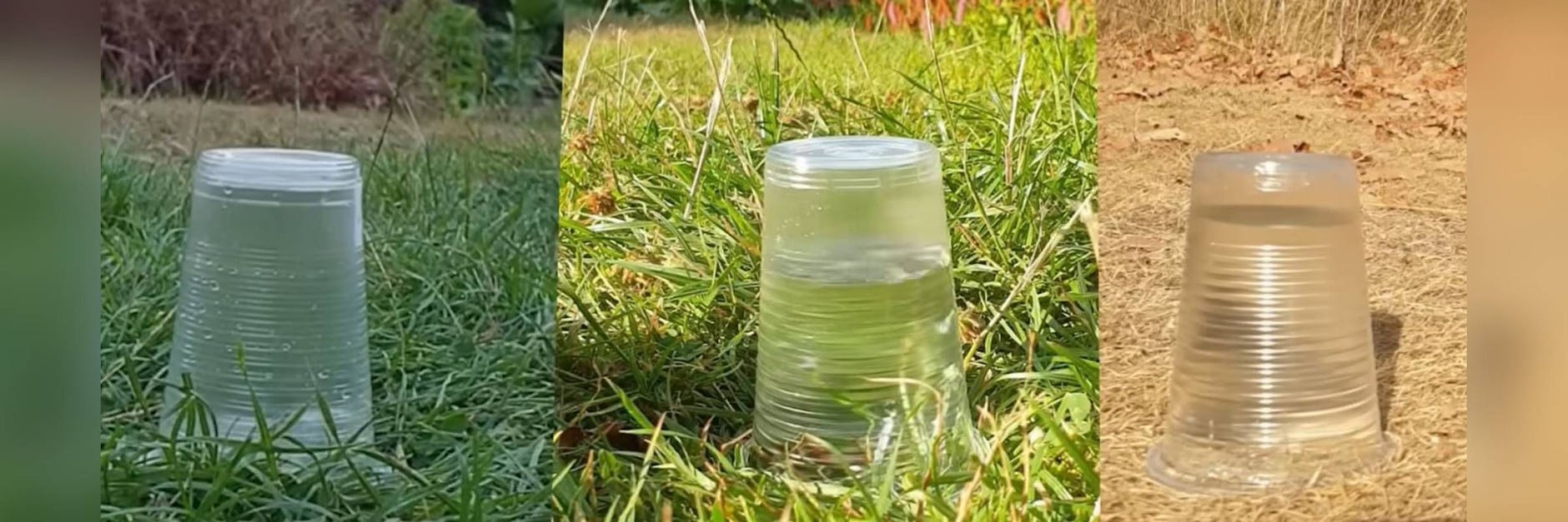 Ein britischer Wissenschaftler stellte dieses Becher-Experiment ins Netz.