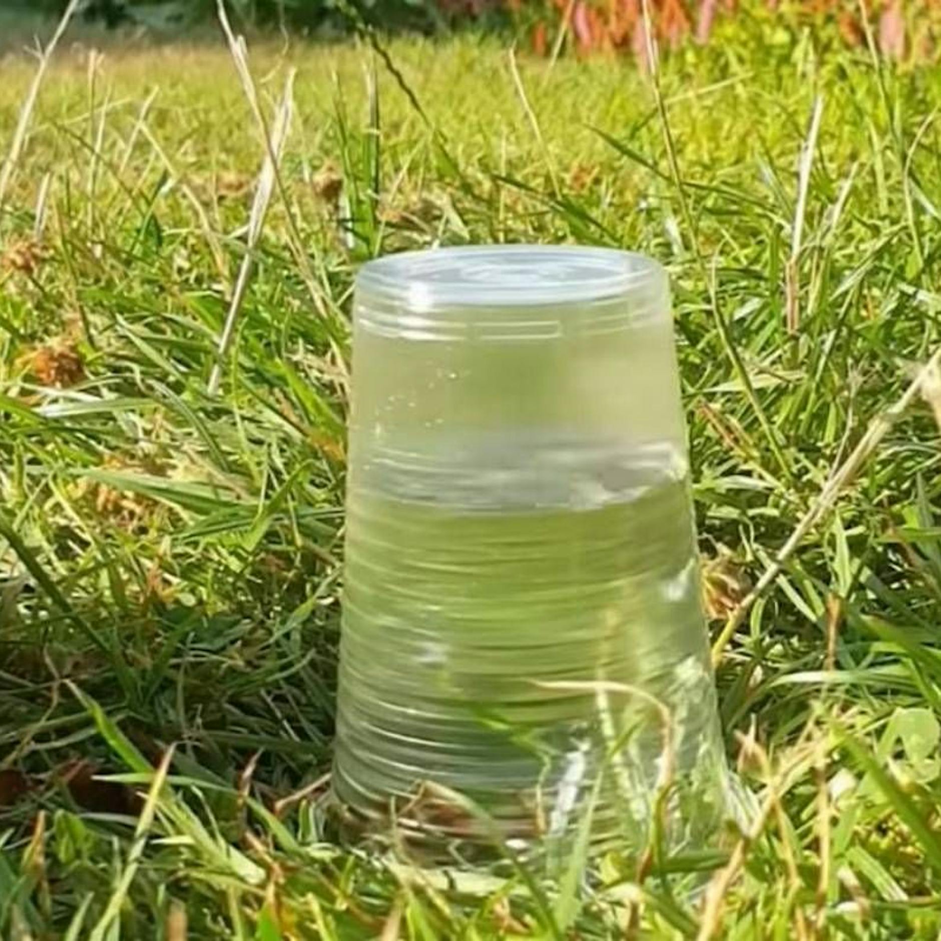 Video geht viral! Warum wir uns nach Dürre und Trockenheit keinen Starkregen wünschen sollten!