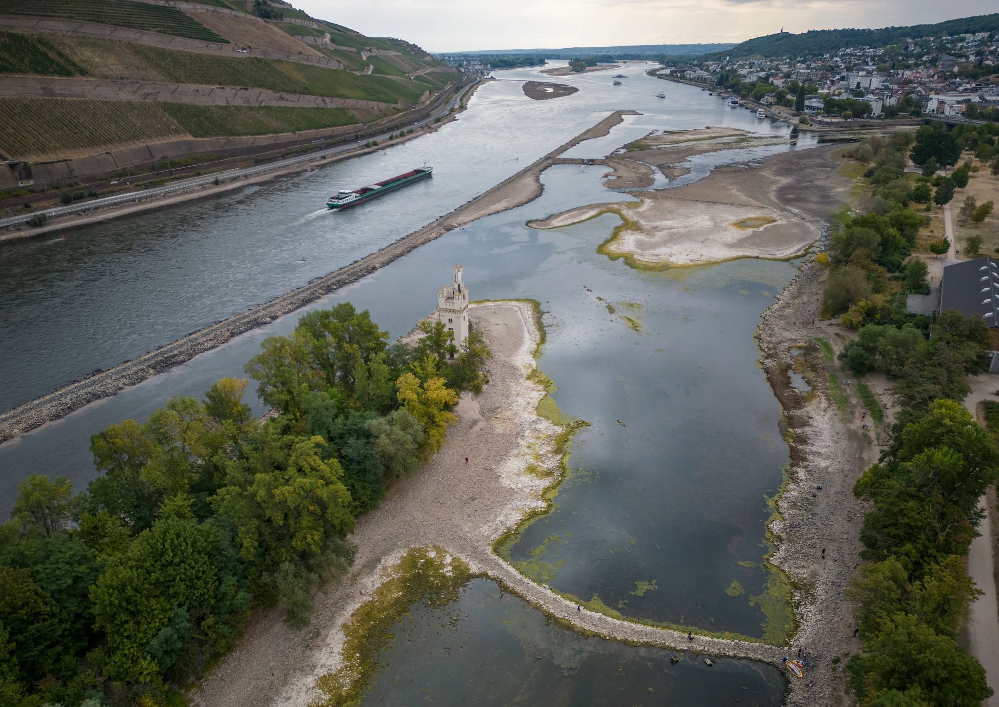 Riesige Sandbänke sind am Mäuseturm bei Bingen im Rhein sichtbar geworden.  