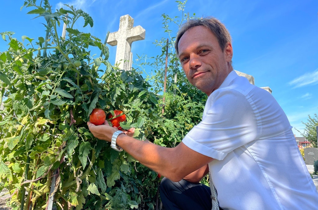 Tomaten im Totenreich: Urban Gardening auf Friedhof in Wien
