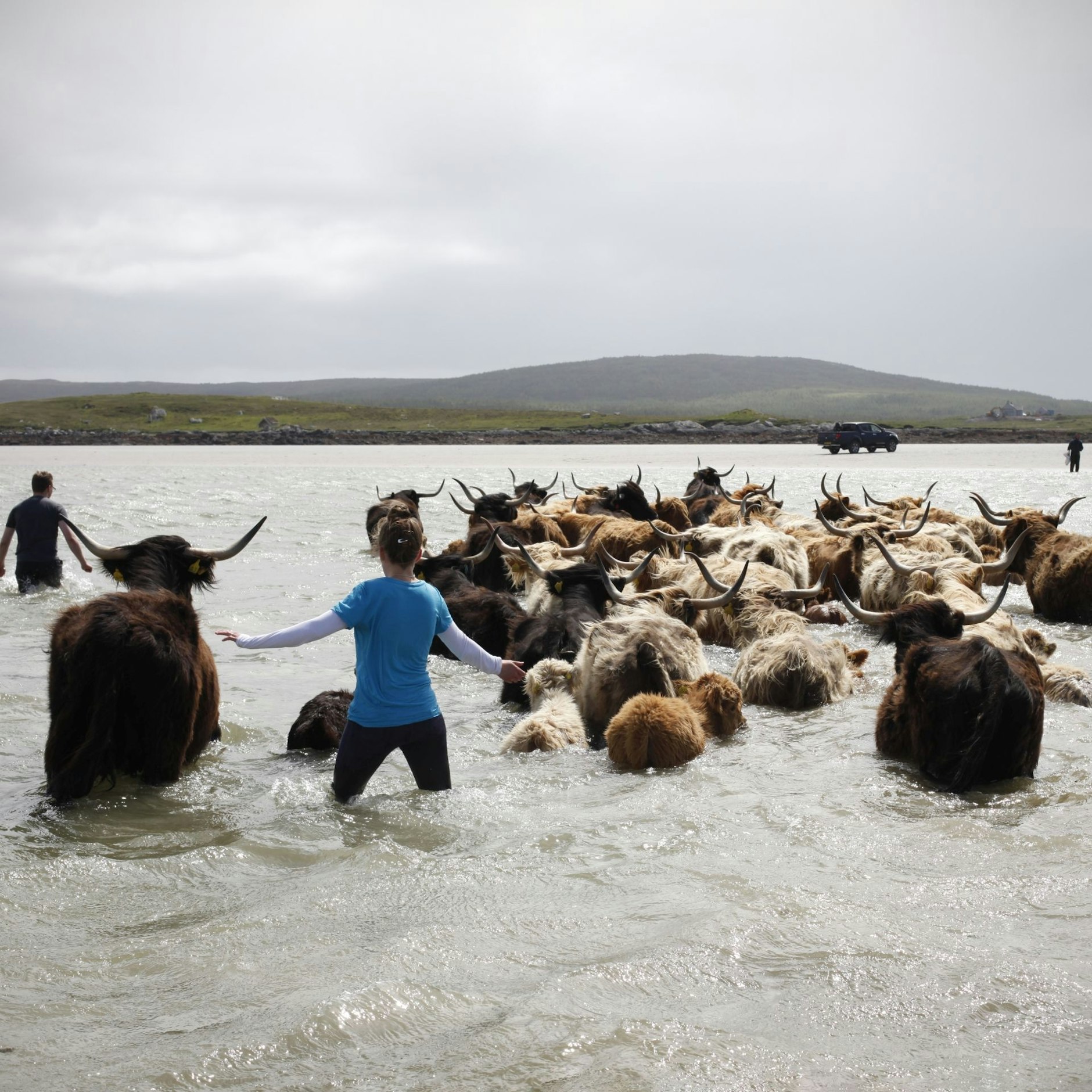 Auch das ist schottischer Alltag für Mensch und Tier: „Carianne treibt das Vieh, Vallay, North Uist im, Juni 2018“ aus der in der Ausstellung zu erlebenden Fotoserie „Drawn To the Land“ von Sophie Gerrard.