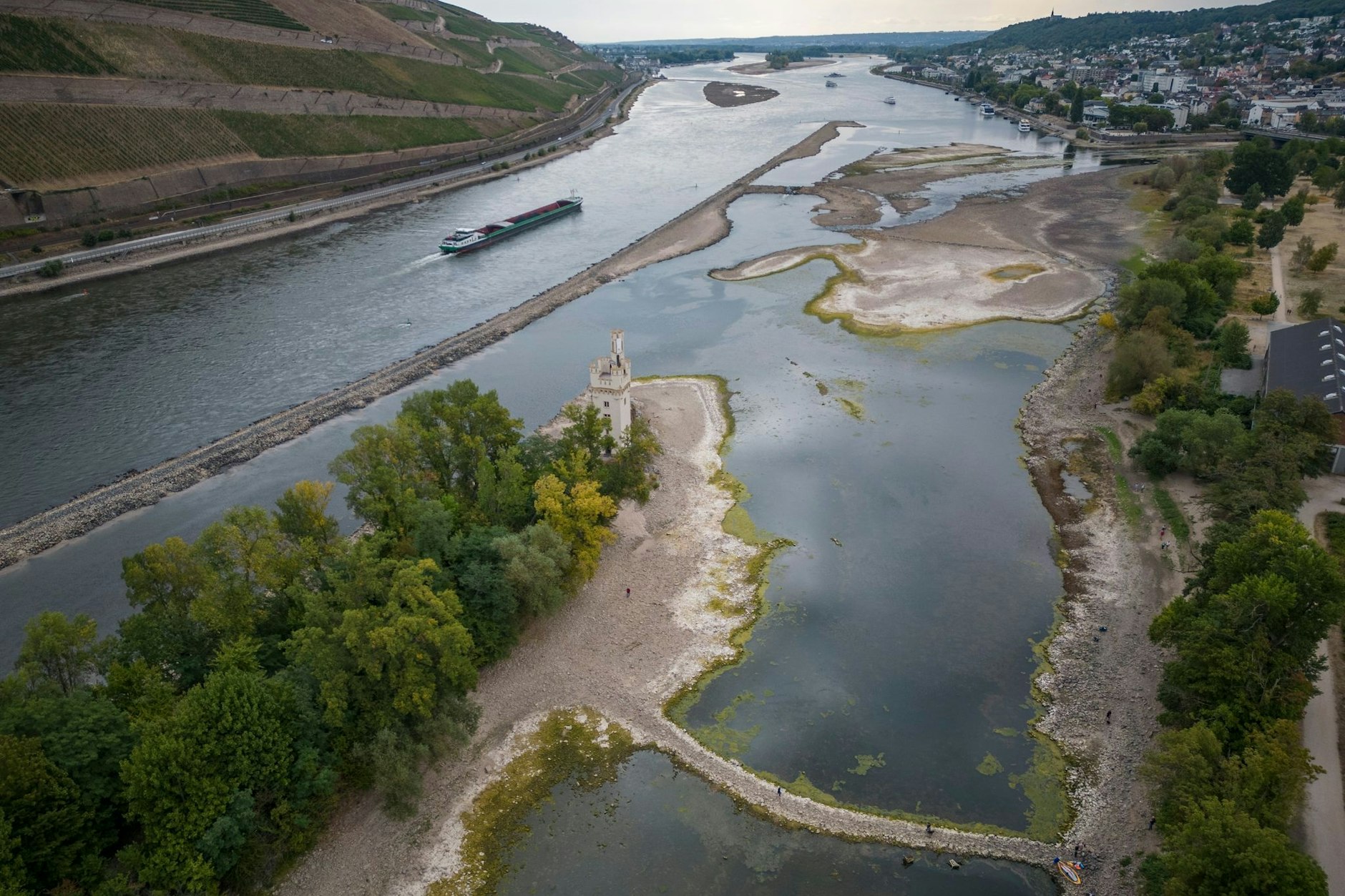 Riesige Sandbänke bei Bingen im Rhein: Sinken die Pegel weiter, droht die Schifffahrt zum Erliegen zu kommen.