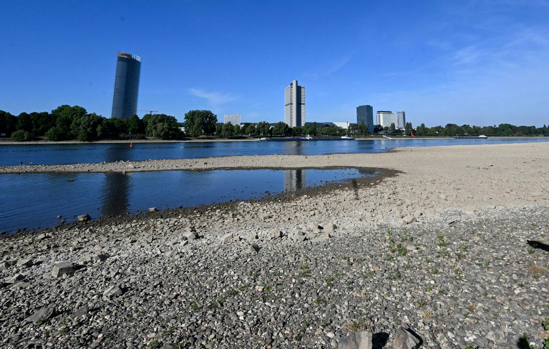 ARCHIV - Der Rhein hat derzeit wenig Wasser - so wie hier in Bonn.