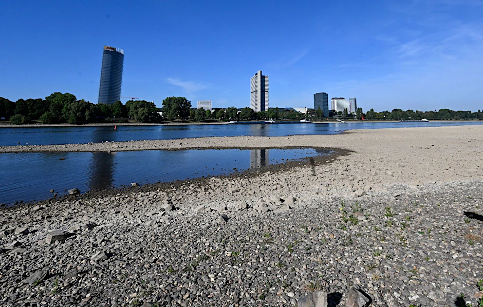 ARCHIV - Der Rhein hat derzeit wenig Wasser - so wie hier in Bonn.  