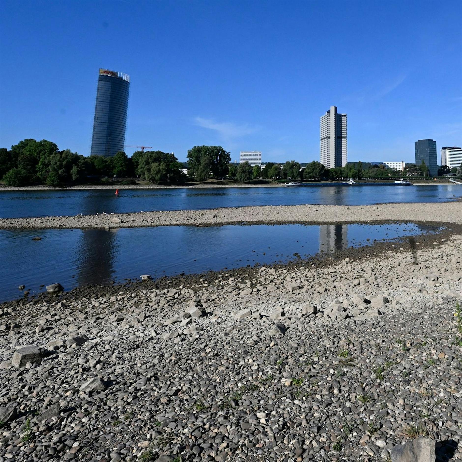 Niedrigwasser in Flüssen kann Tiere das Leben kosten