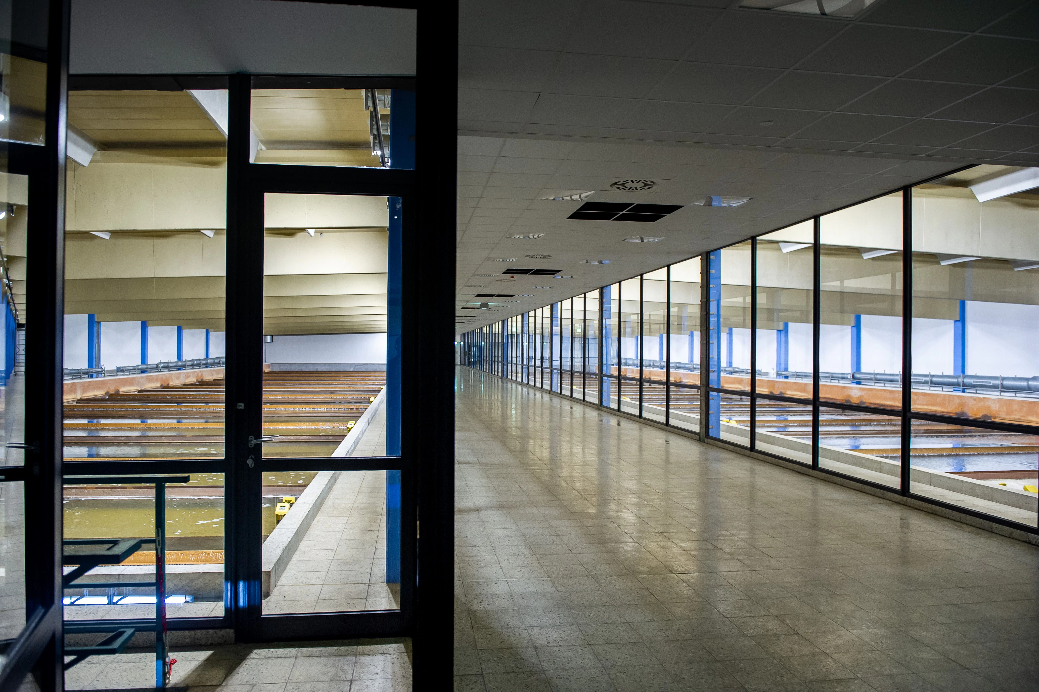 Sieht fast aus wie eine Schwimmhalle: In den 20 Doppelbecken links und rechts wird das frische Wasser aus dem Boden gereinigt, in dem es durch Sand sickert.