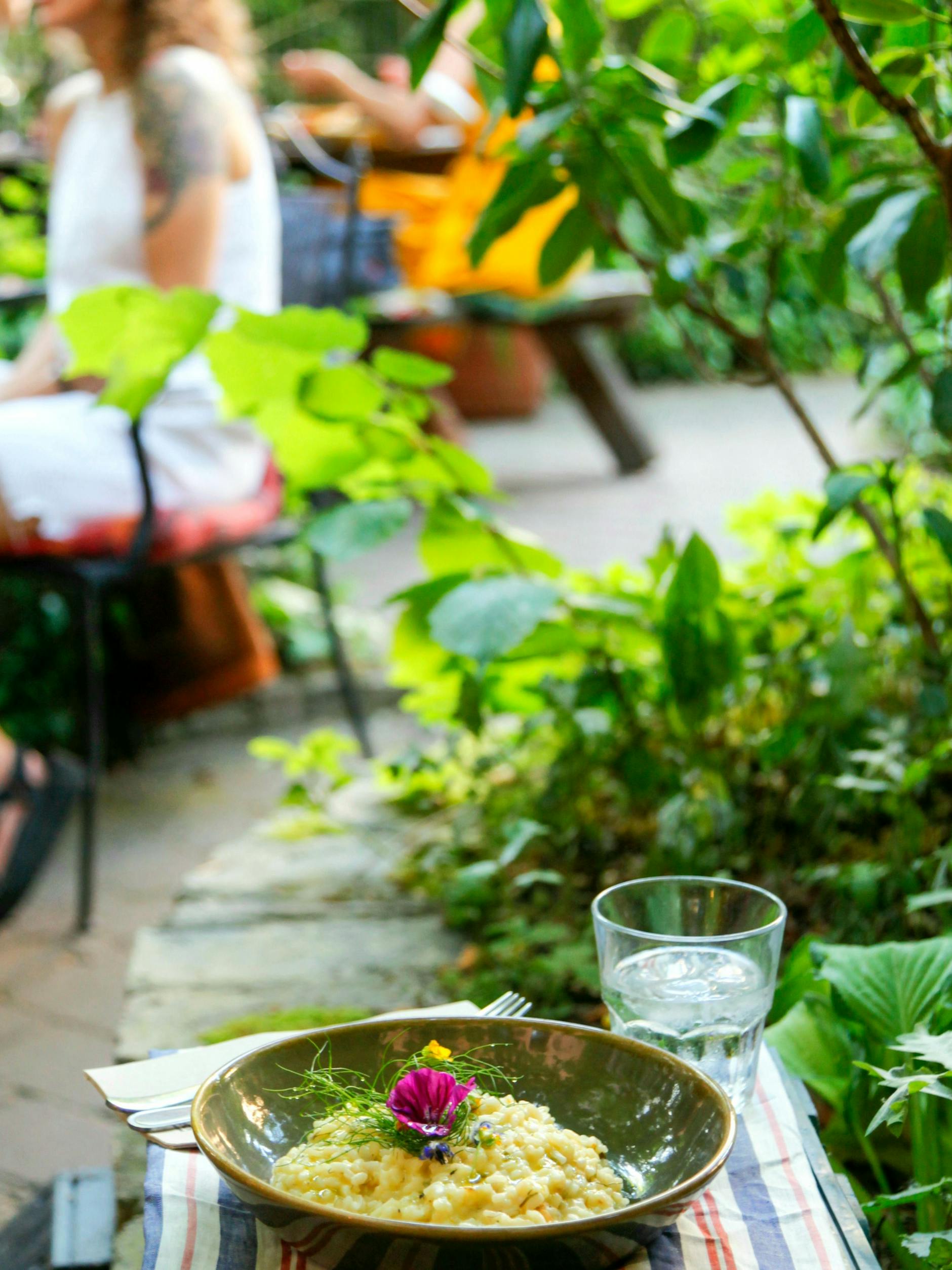 Grüner wird’s nicht: Essen im Café Botanico.