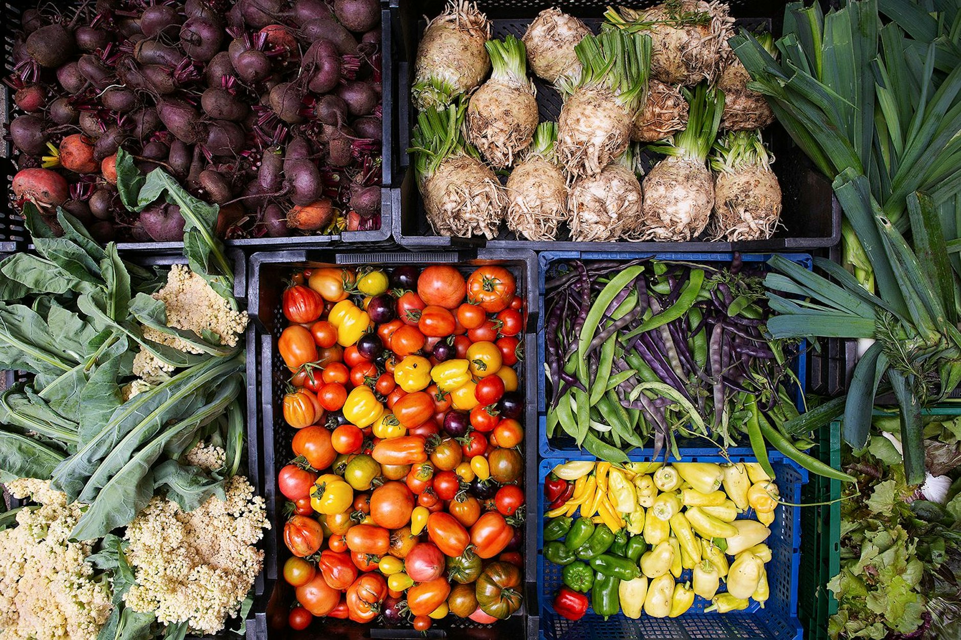 Im Spreewald, südöstlich von Berlin, wird Gemüse fürs Friedrichshainer Michelberger Restaurant angebaut.