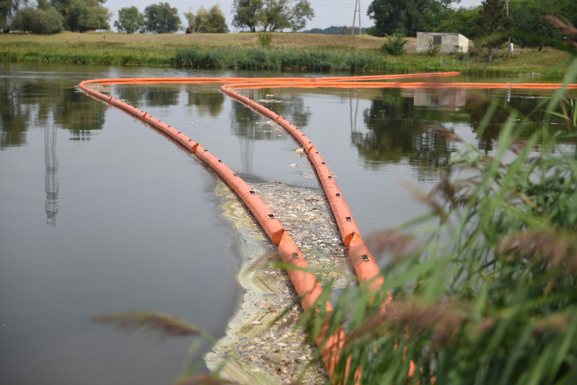 Ein Ölschlauch soll verhindern, dass die toten Fische weiter flussabwärts treiben.
