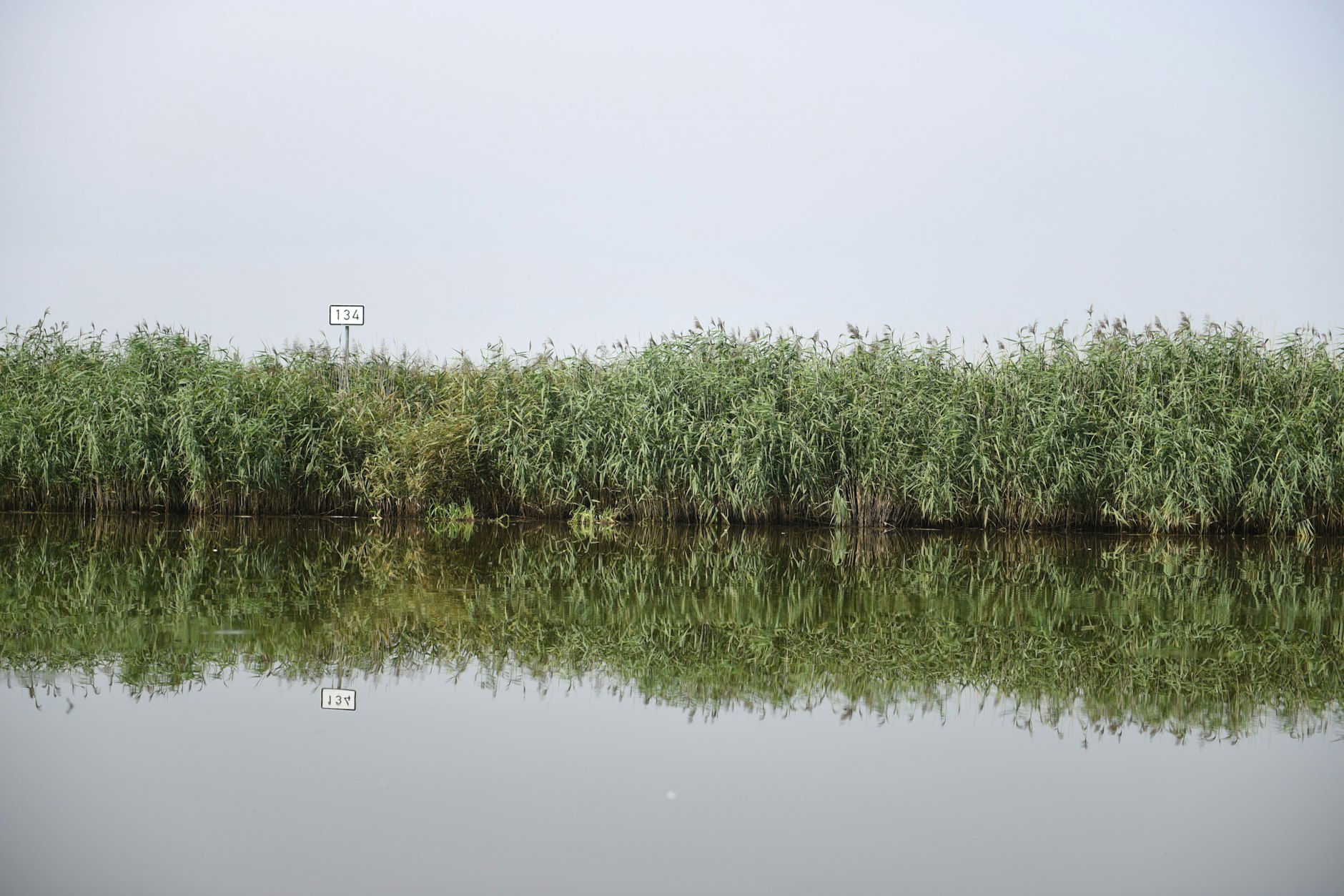 Die Oder ist auf der deutschen Seite nicht begradigt und einbetoniert, wie viele andere Flüsse, sondern noch sehr ursprünglich.