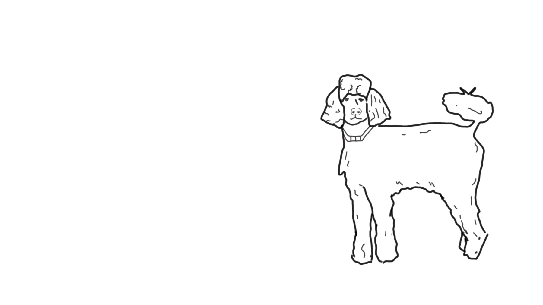 Die Hundetrainerin rät prinzipiell zu einer Beratung <em>vor</em> dem Hundekauf.
