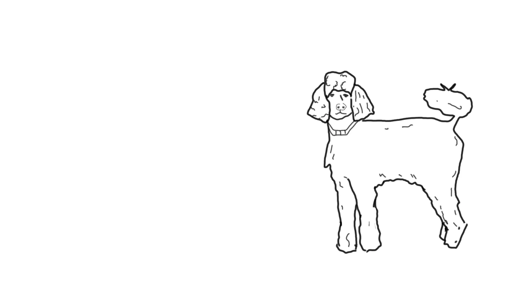 Die Hundetrainerin rät prinzipiell zu einer Beratung <em>vor</em> dem Hundekauf.