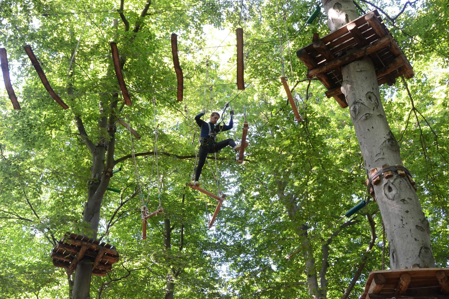 Im Waldhochseilgarten Jungfernheide trainiert man Muskeln, Hirn und Lungen.