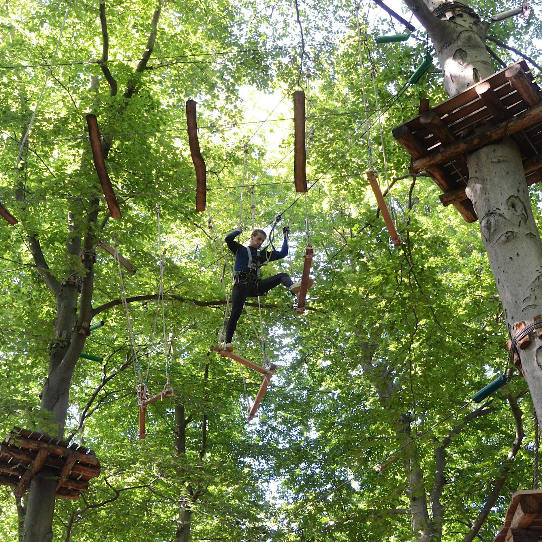 Tiere, Wald und Wildnis: Sieben tolle Naturerlebnisse in und um Berlin