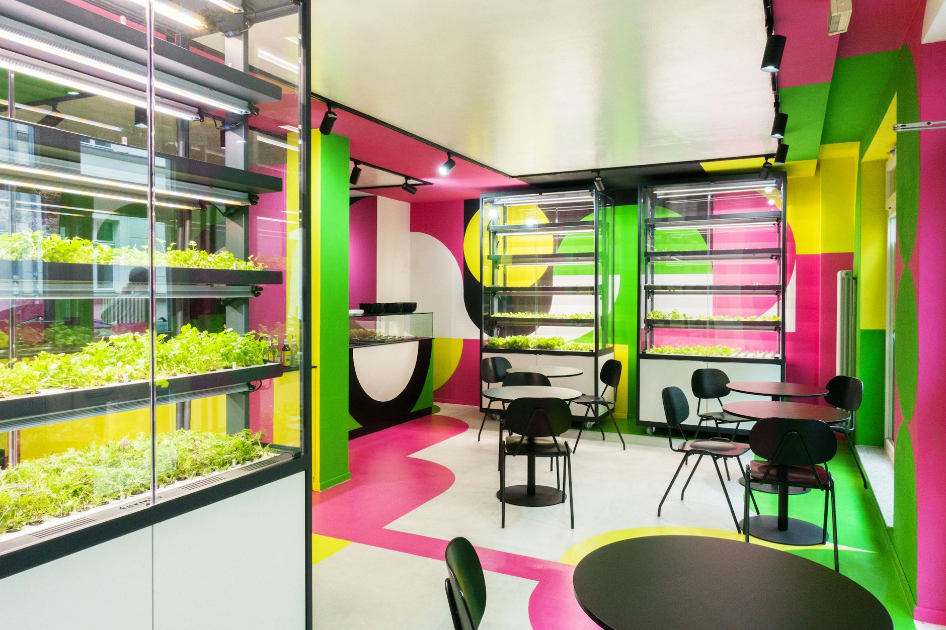 Salate wachsen in Vitrinen: Vertical Farming im Good Bank.