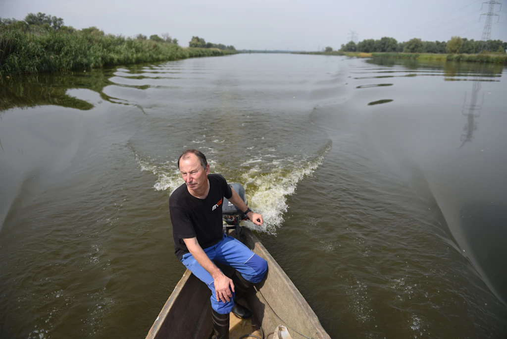 Fischsterben auf der Oder: Wie der Klimawandel unsere Flüsse ruiniert